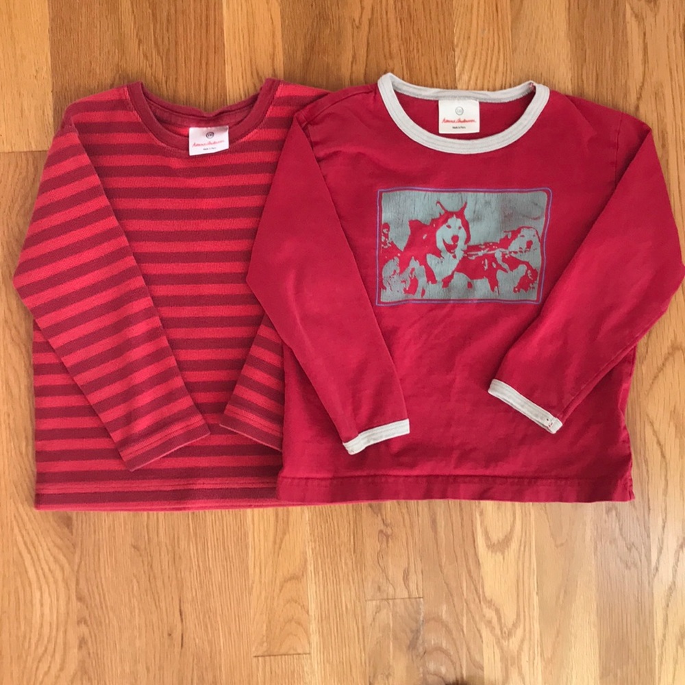 Lot of 2 Hanna Andersson Tops